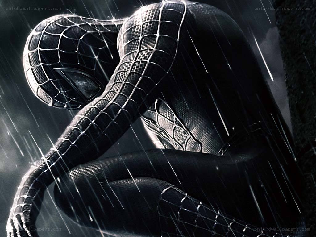 Spider-Man in the rain