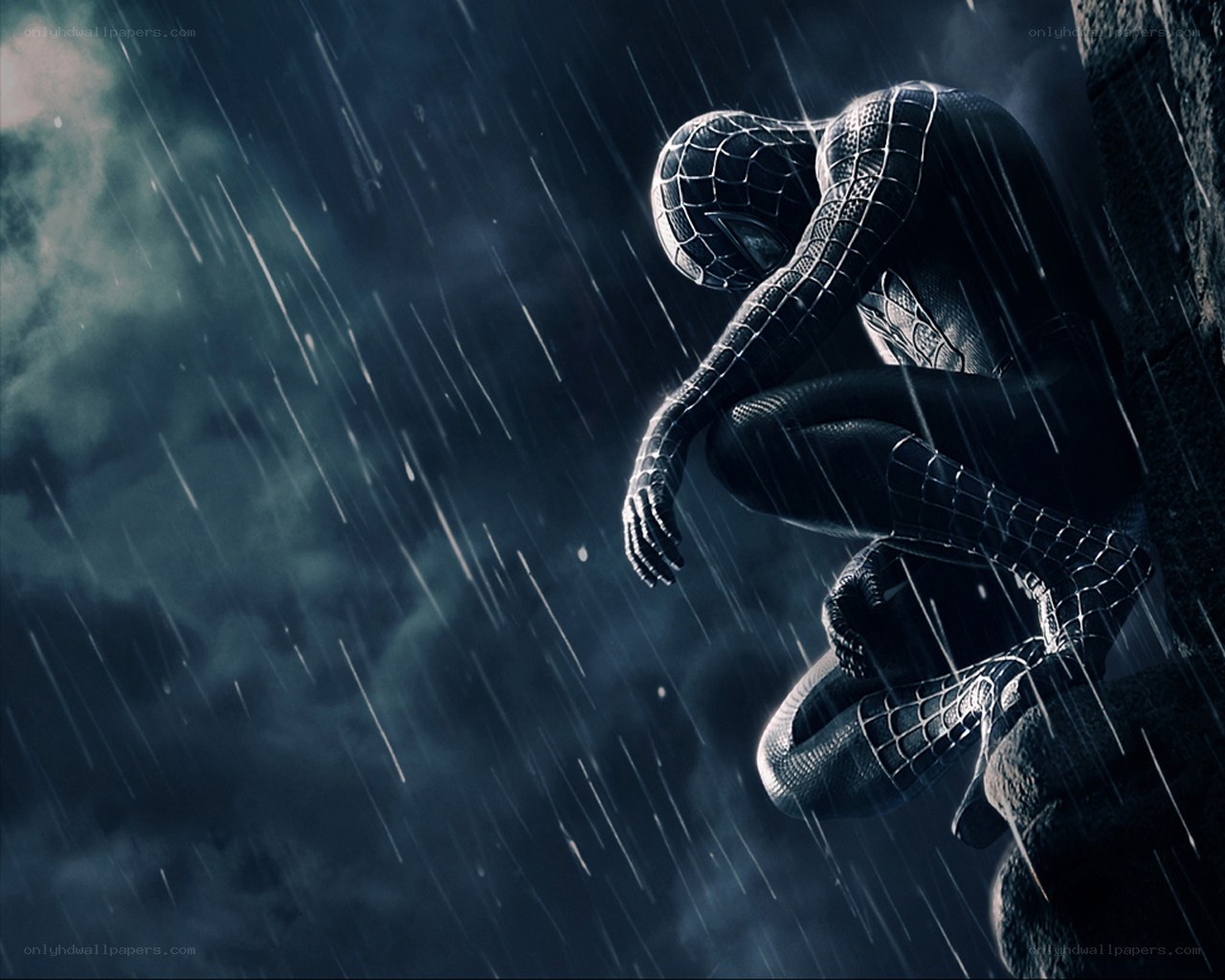 Spider-Man in the rain