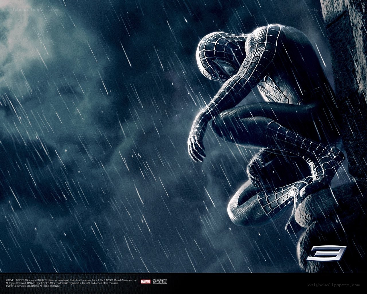 Spider-Man in the rain