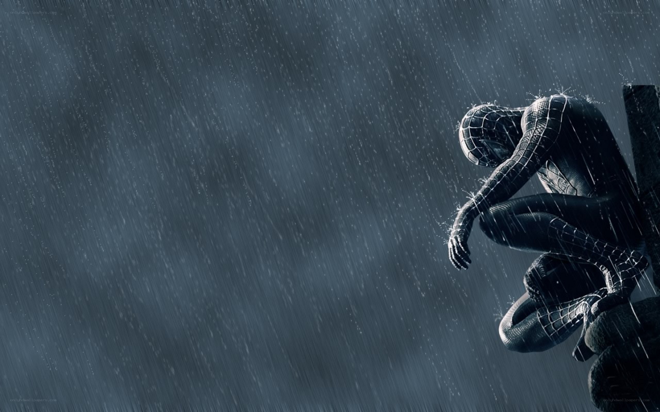 Spider-Man in the rain