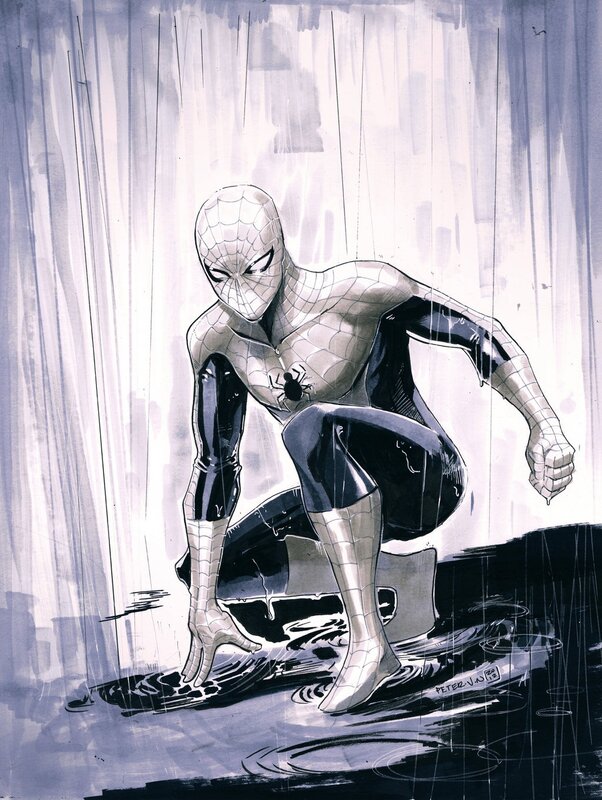 Spider-Man in the rain