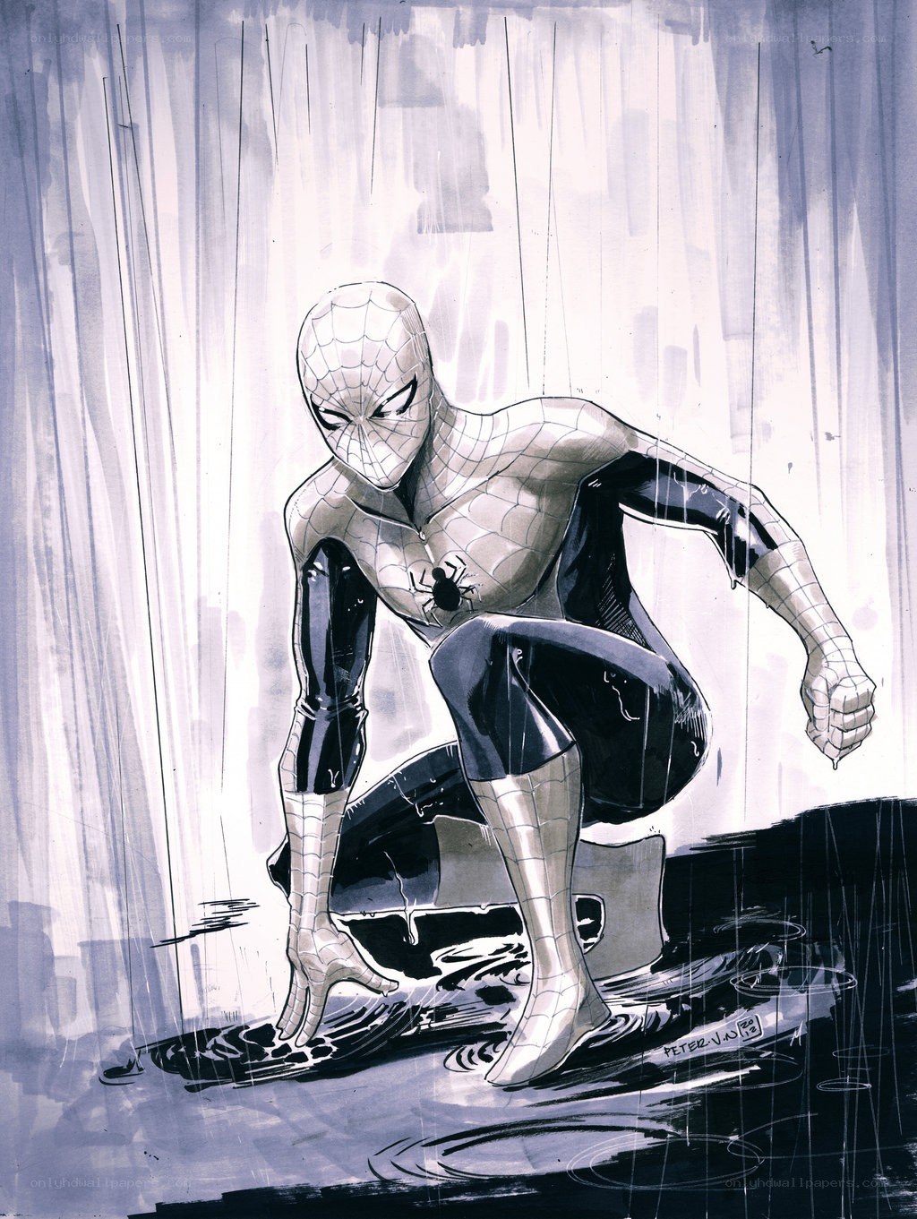 Spider-Man in the rain