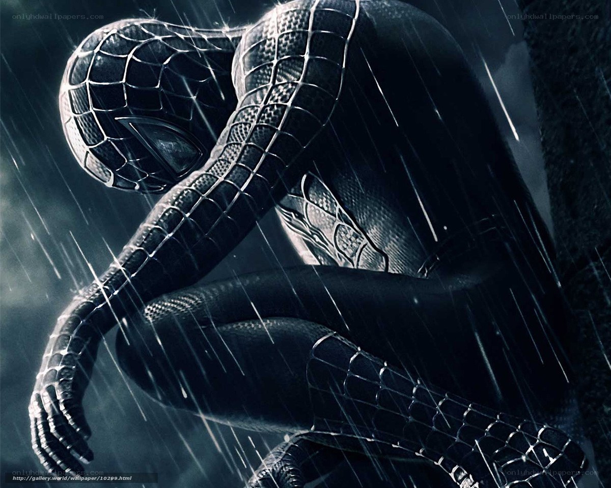 Spider-Man in the rain