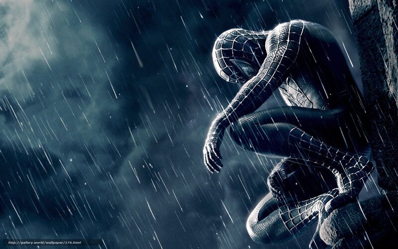 Spider-Man in the rain