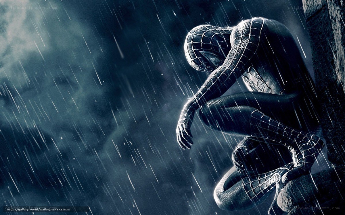 Spider-Man in the rain