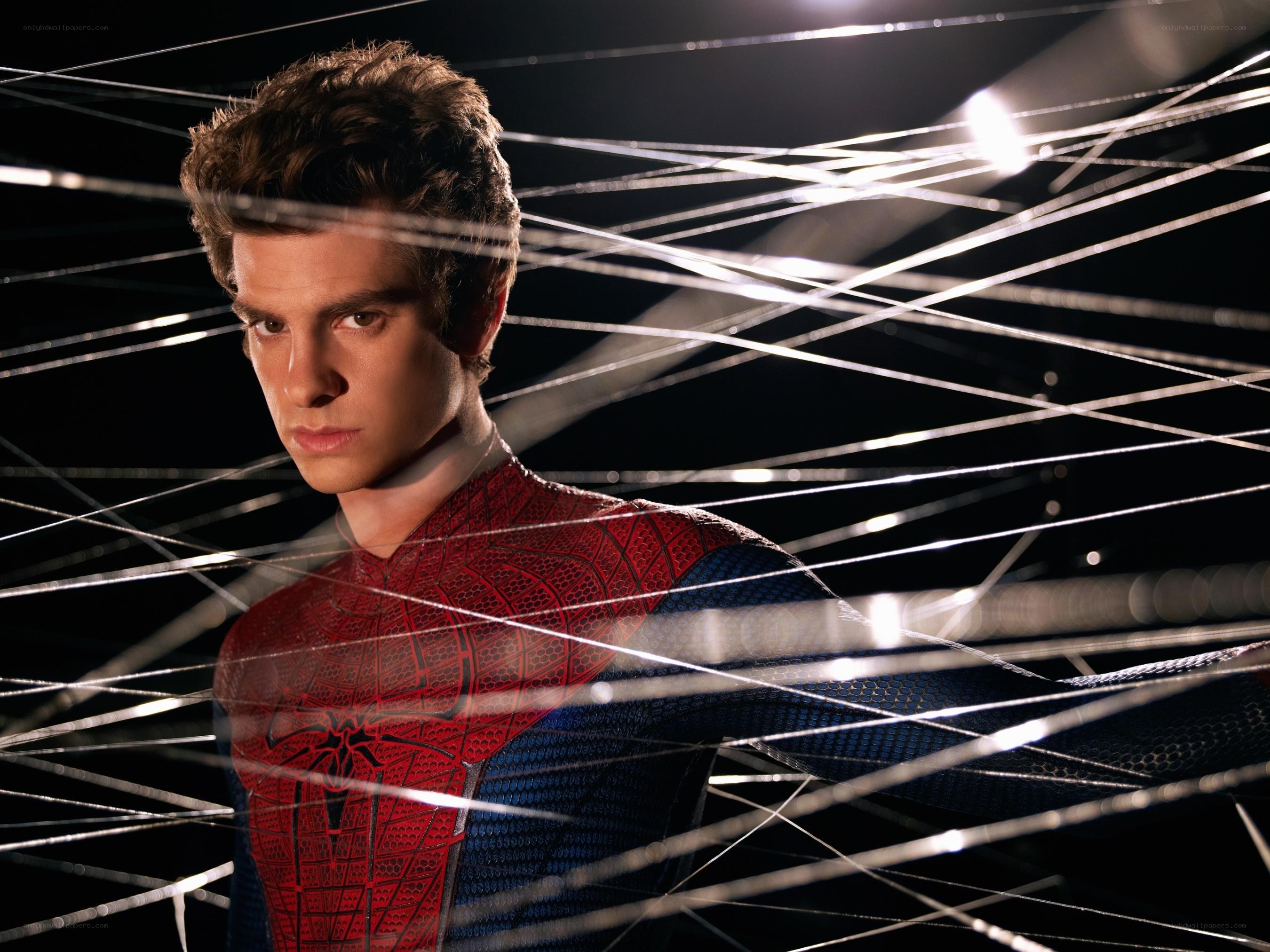 Spider-Man in web-covered scene