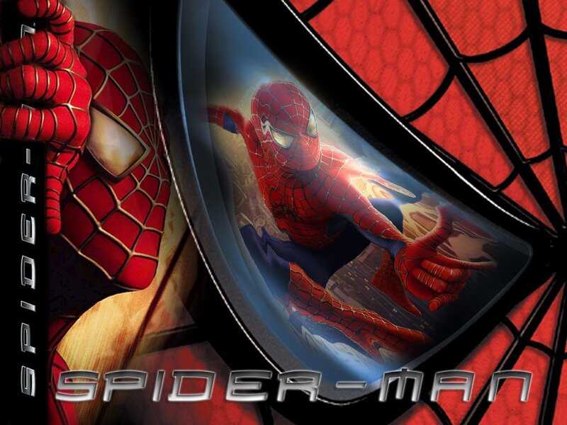 Spider-Man in Web Pattern