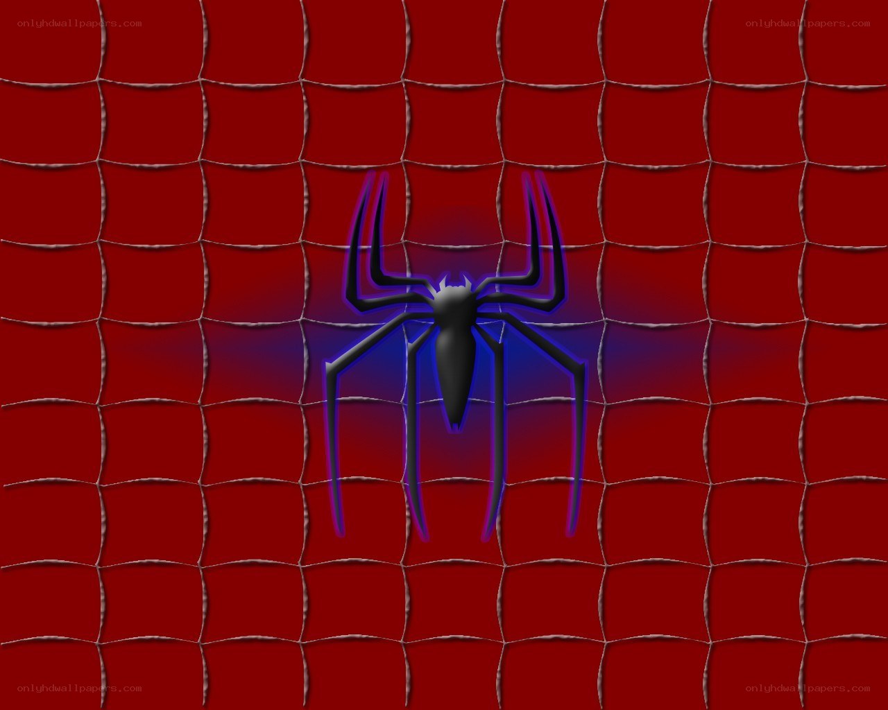 Spider-Man logo on web