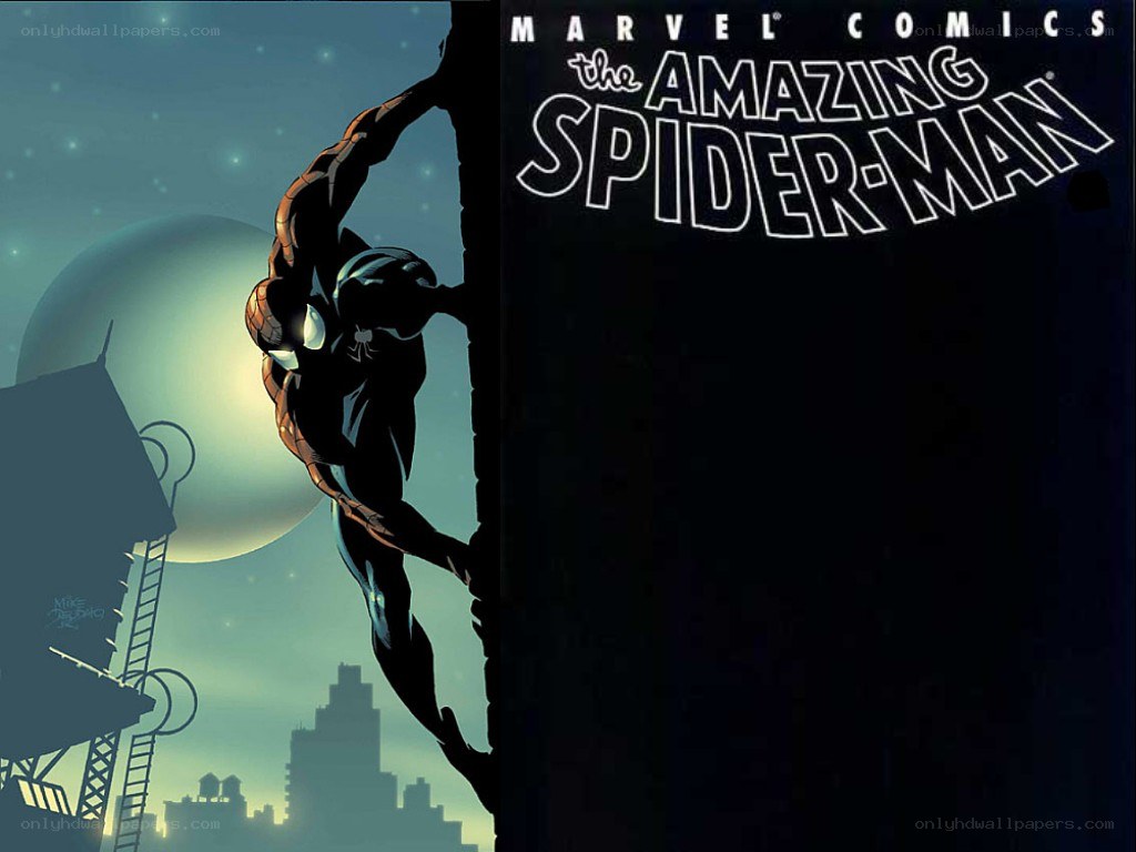 Spider-Man on a building