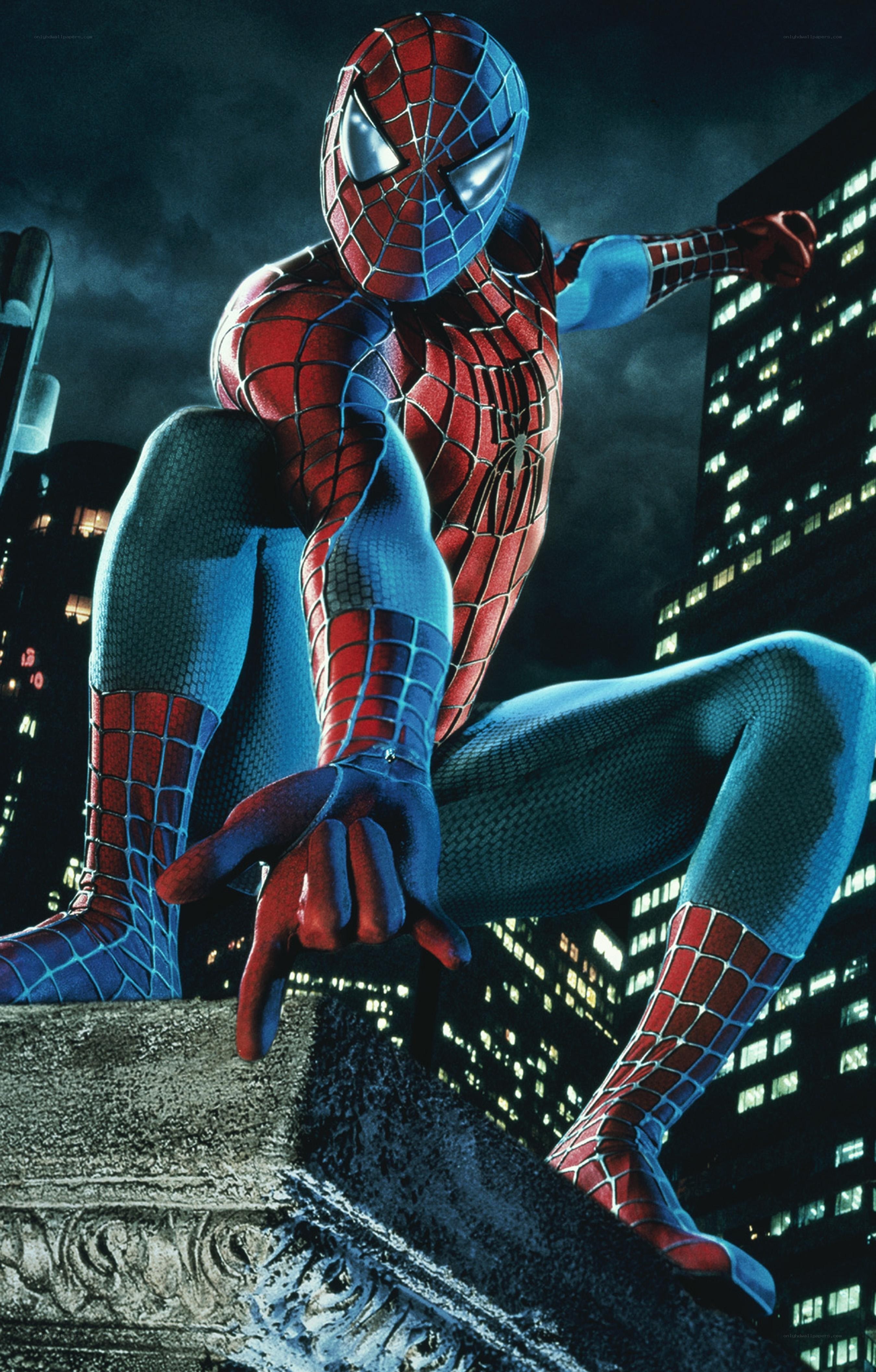 Spider-Man on a city rooftop