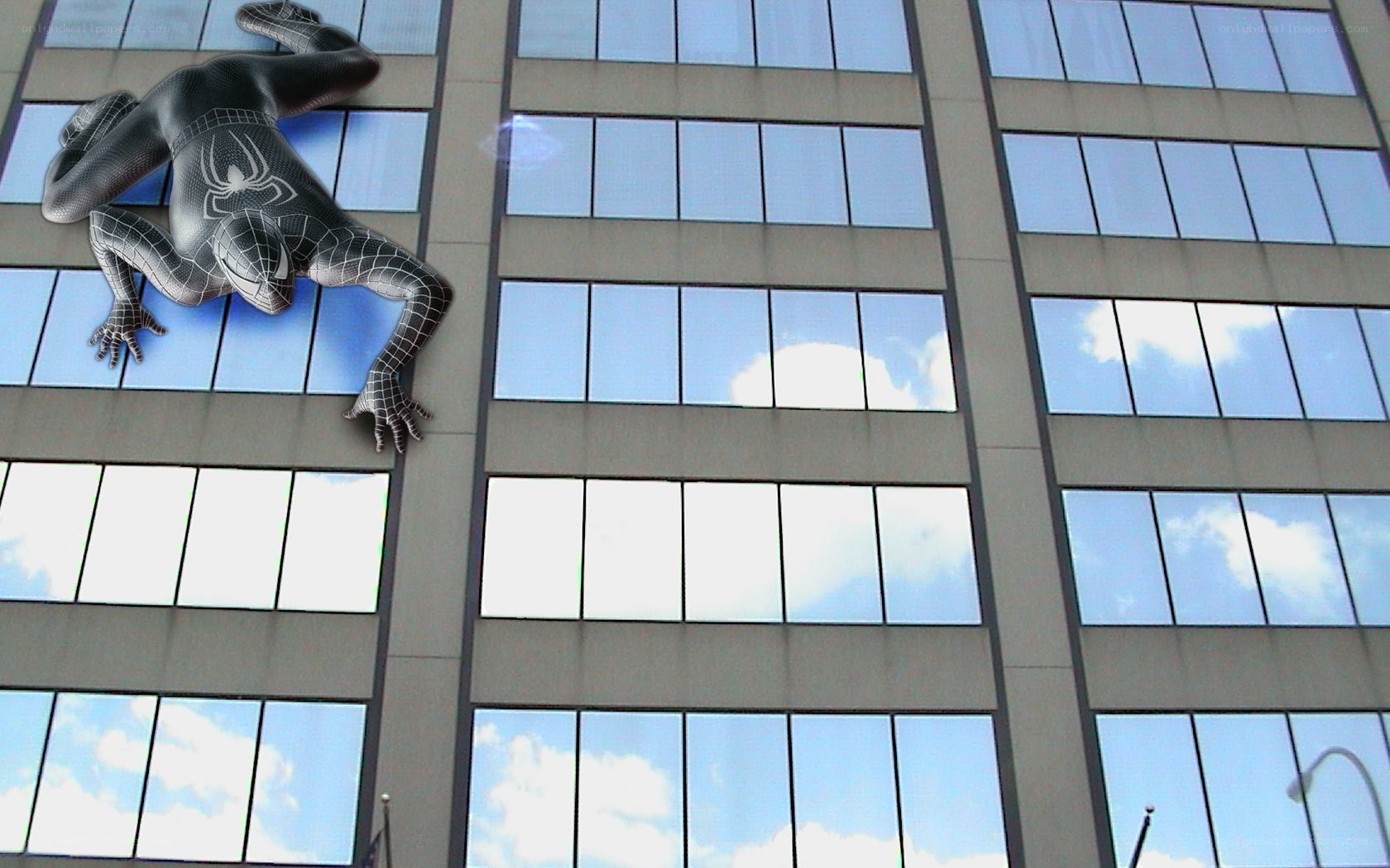 Spider-Man on building wall