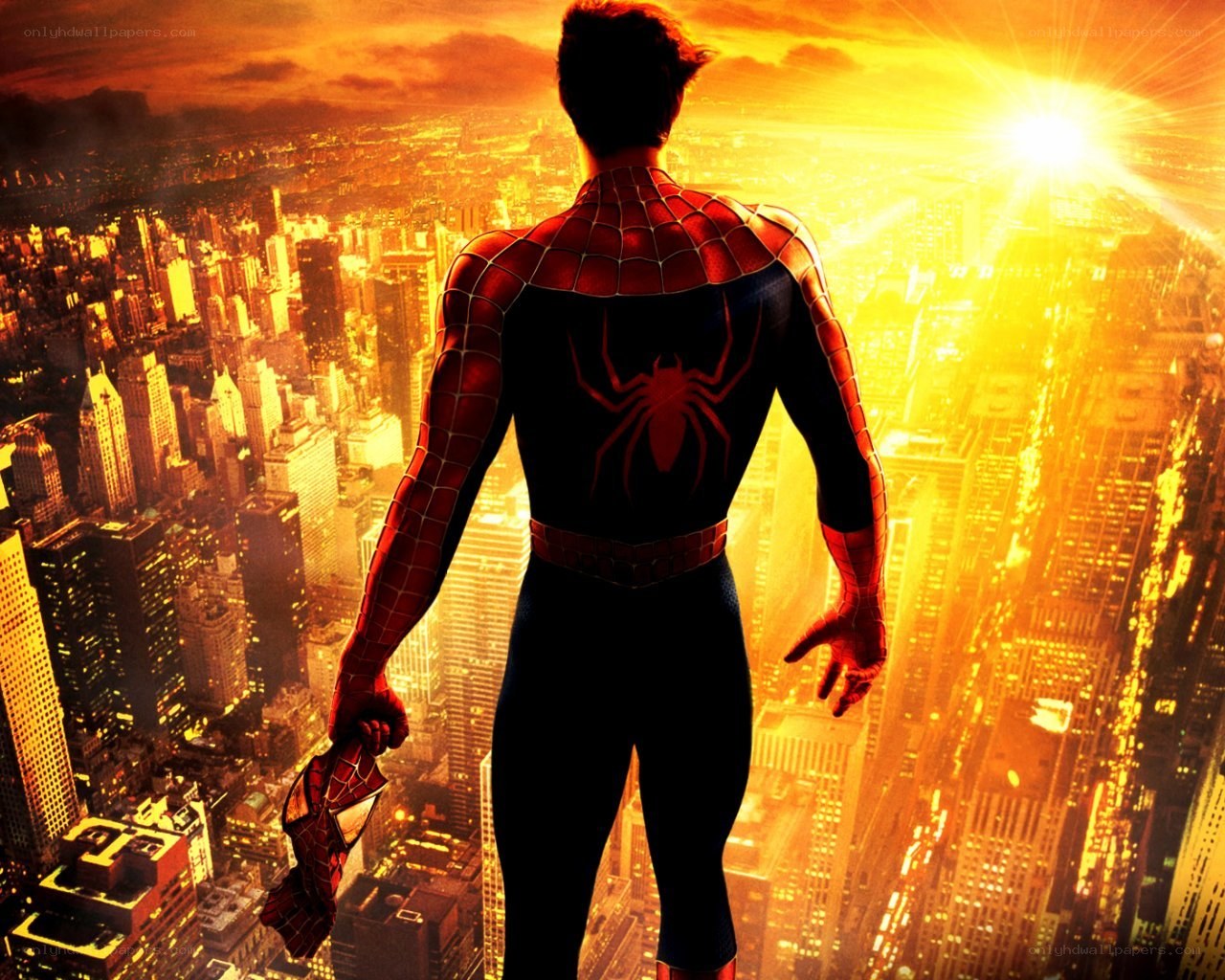 Spider-Man overlooks the city