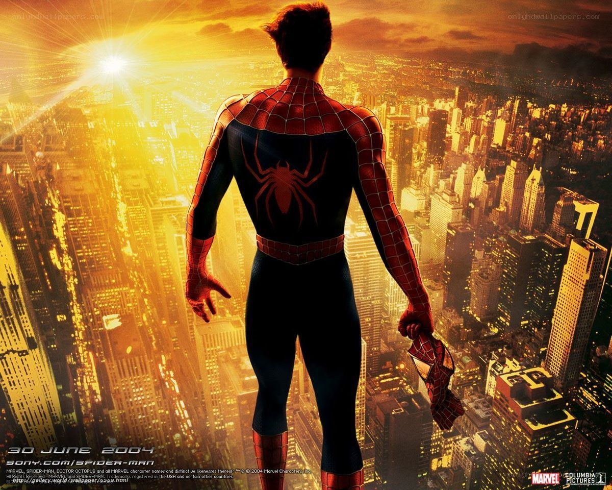 Spider-Man overlooks the city