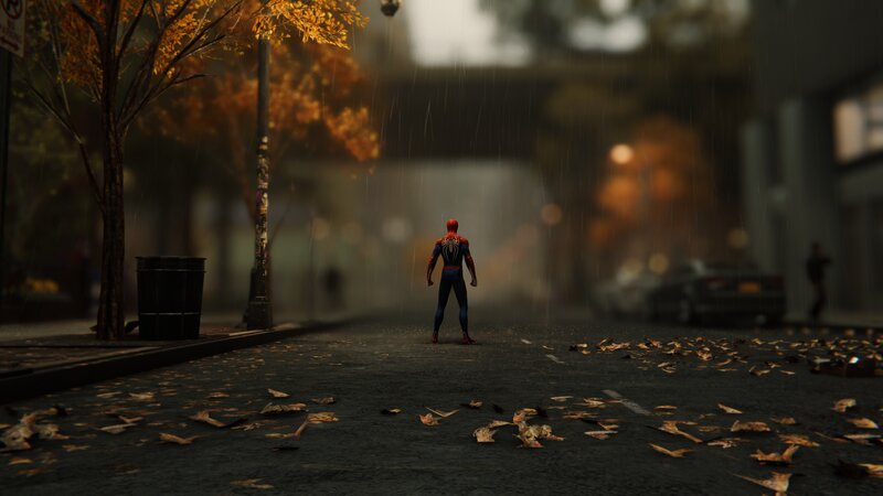 Spider-man Standing in Street