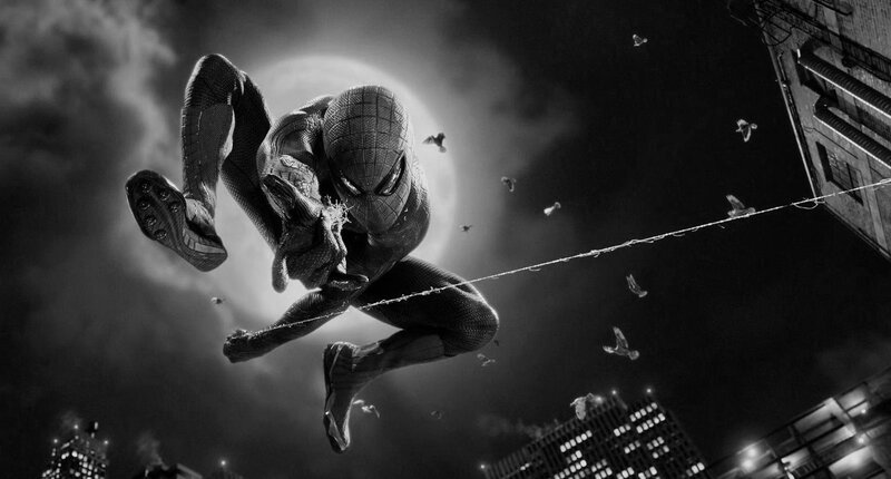 Spider-man Swinging on Web — Black