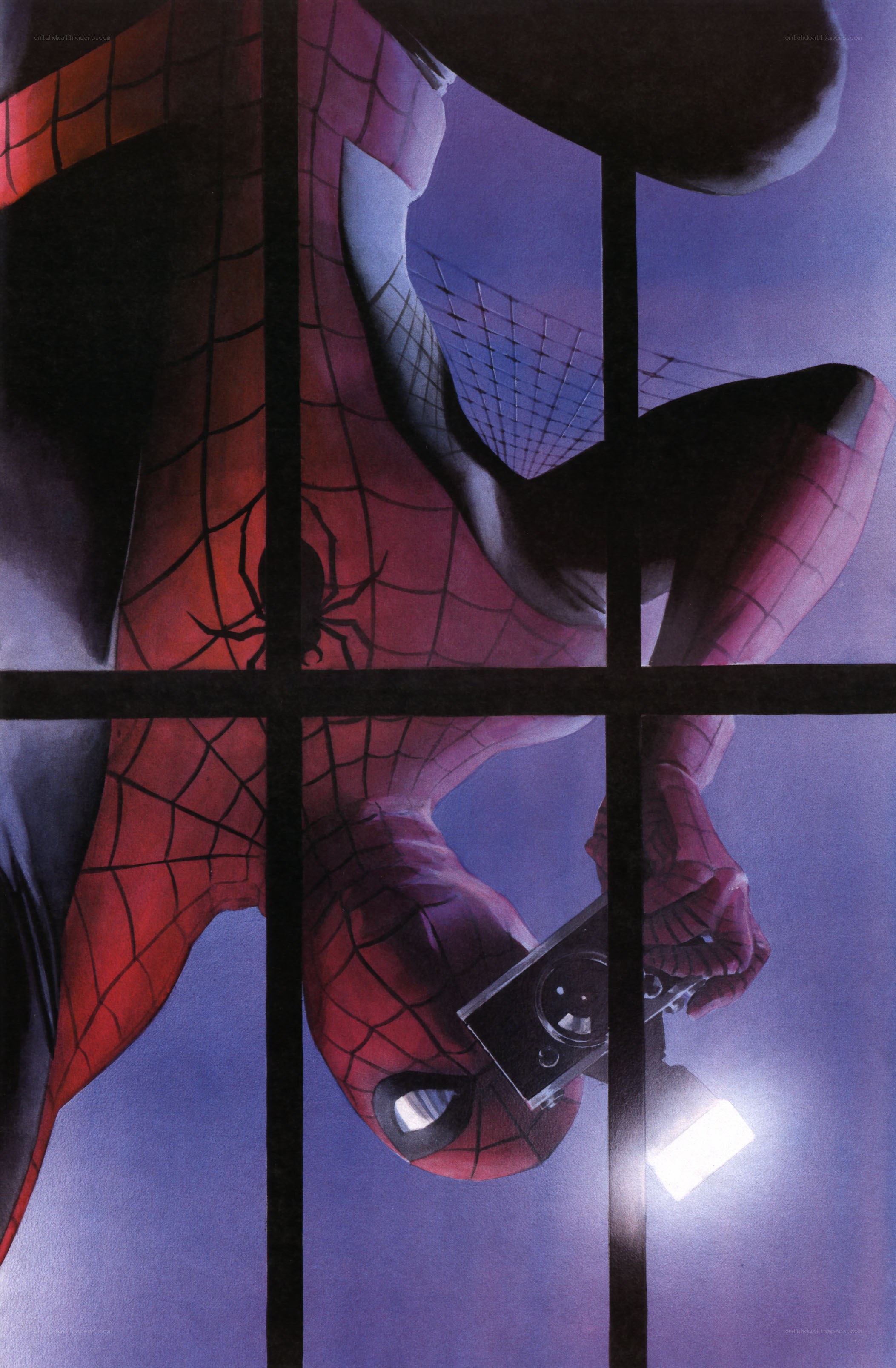 Spider-Man through window