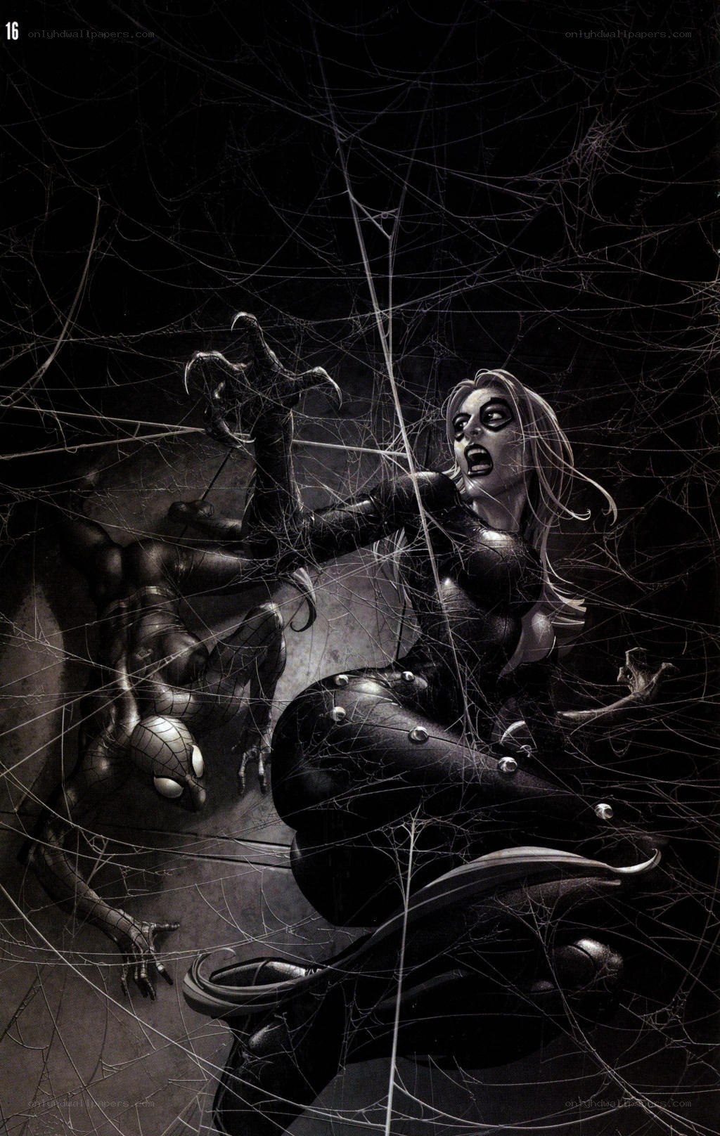 Spider-Man vs. Black Cat