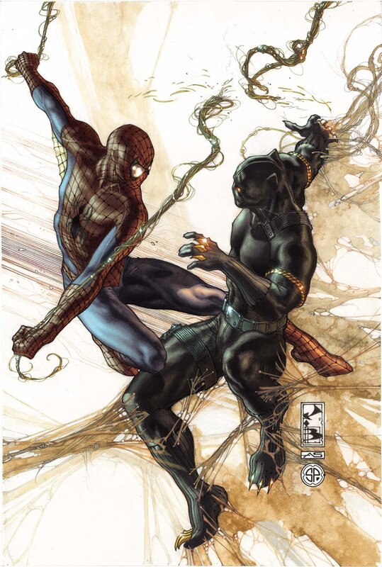 Spider-Man vs Black Panther