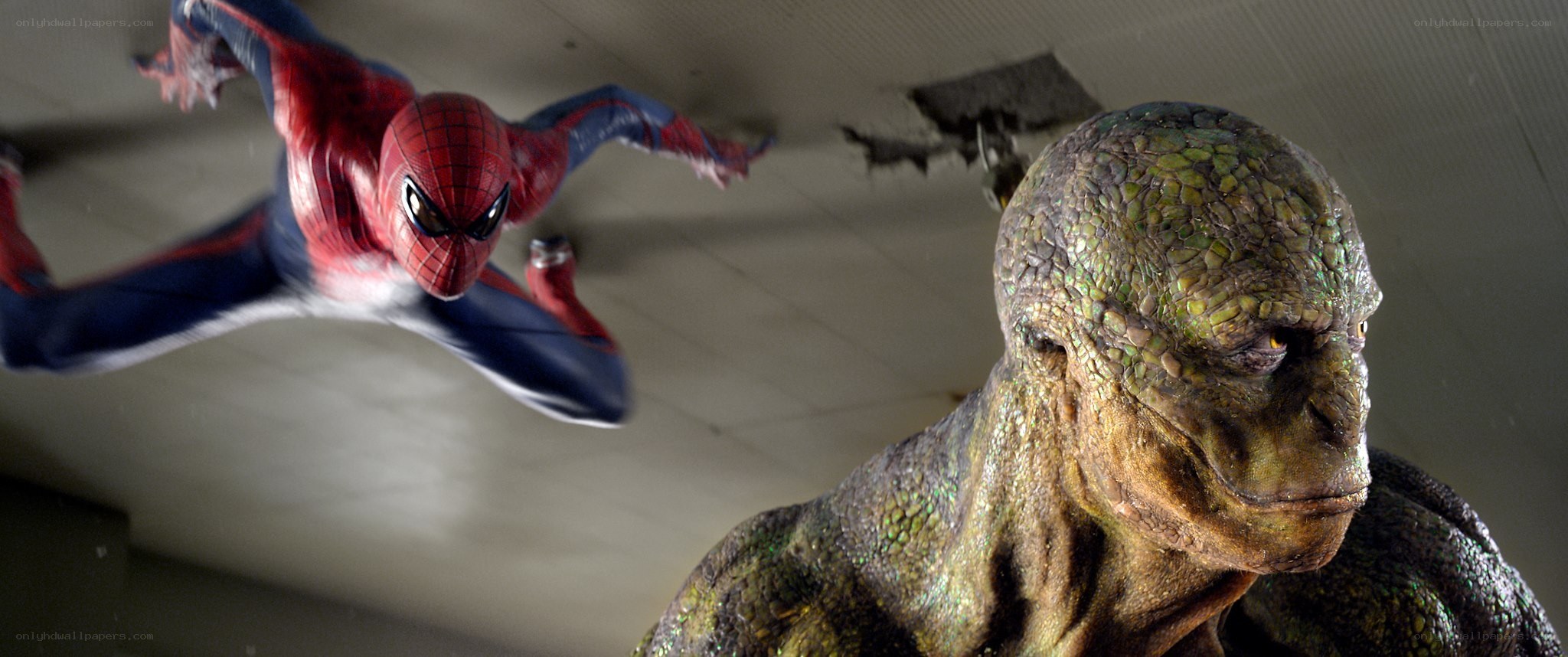 Spider-Man vs. Lizard in battle