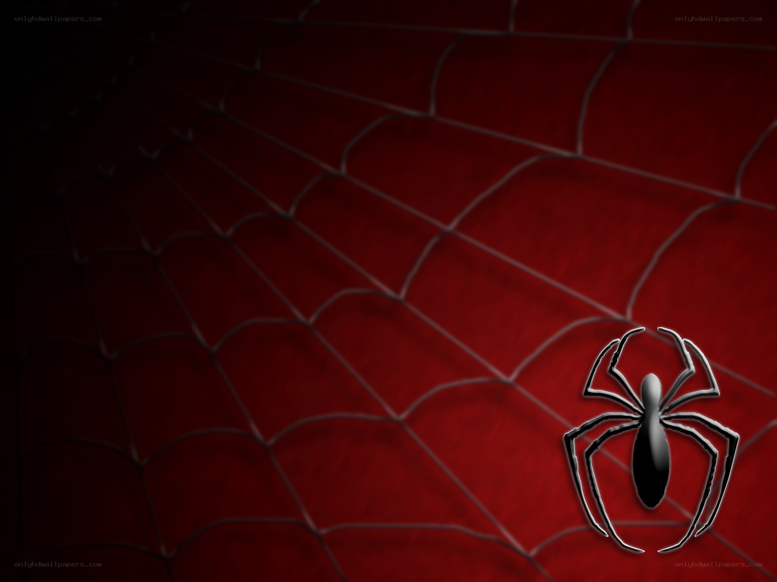 Spider-Man web background