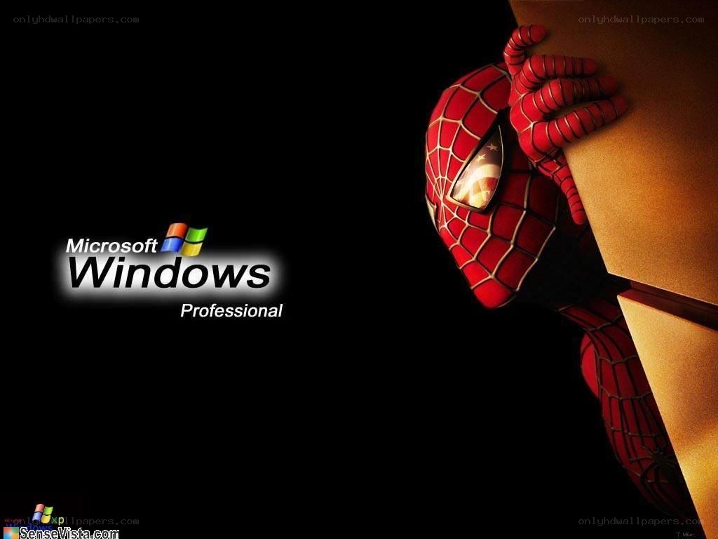 Spider-Man Windows wallpaper