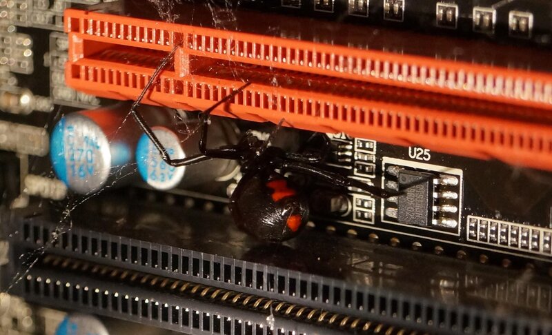 spider on computer motherboard