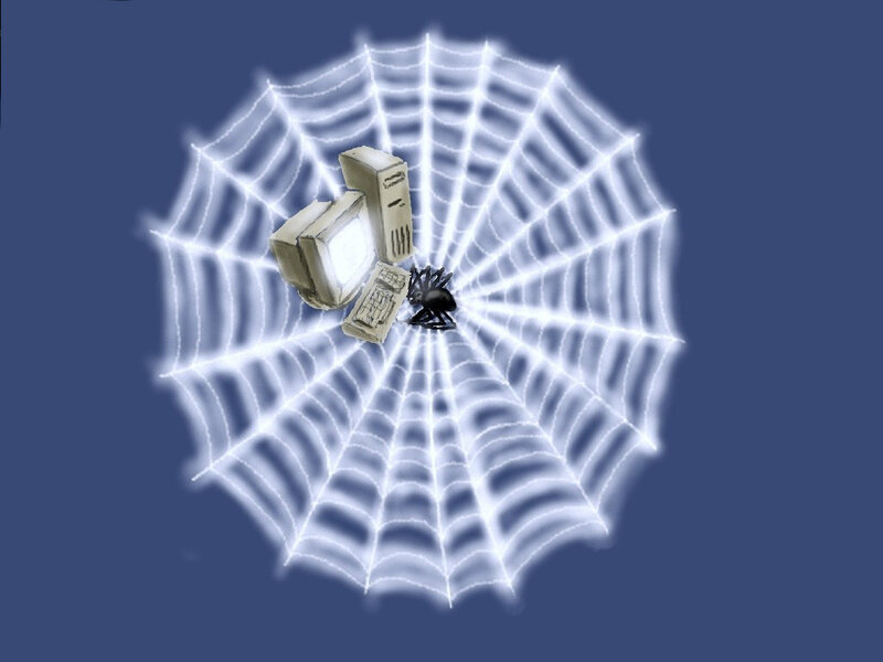 Spider on Computer