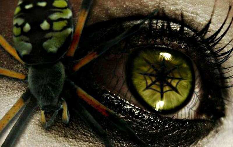 Spider on Eye