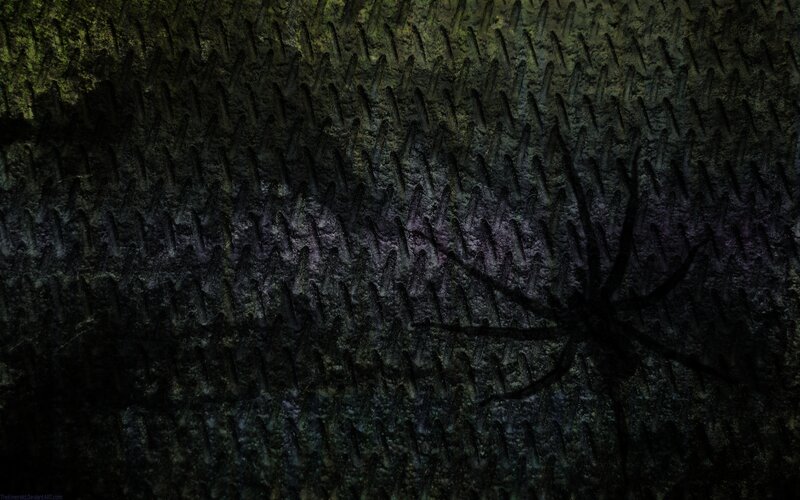Spider on Metal Surface