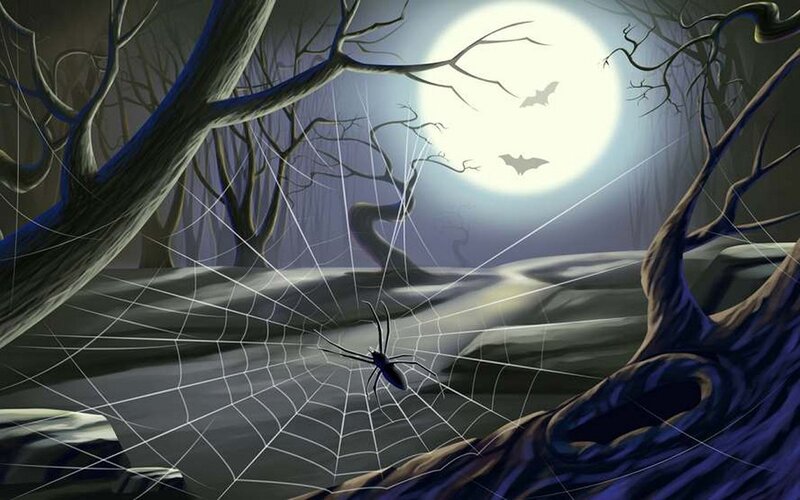 Spider on Web at Night — Black