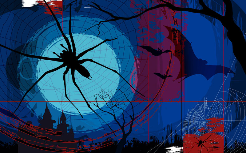 Spider on Web at Night — Blue, Dark