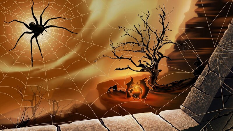 Spider on Web at Night — Orange, Dark