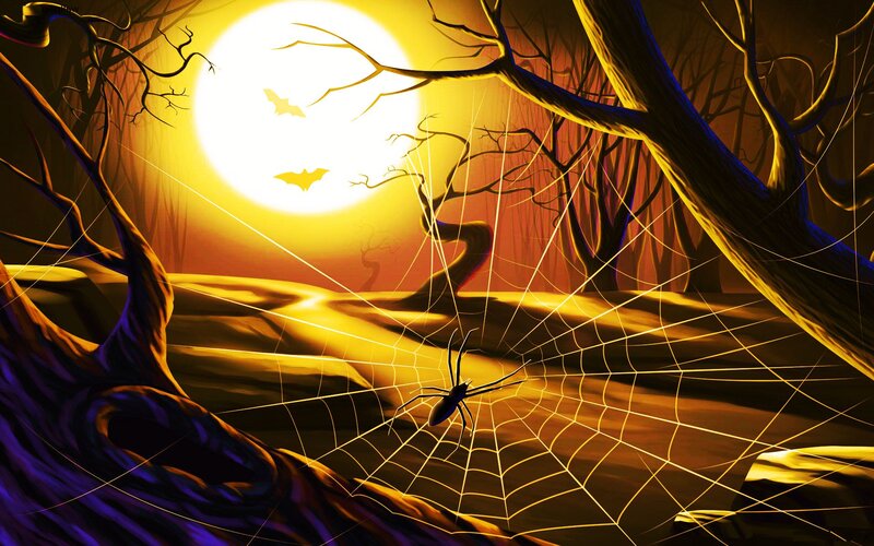 Spider on Web at Night — Yellow