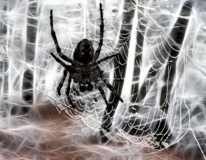 Spider on Web — Black, Dramatic, Digital Art