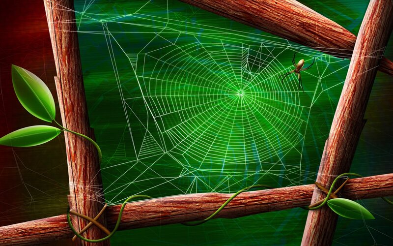 Spider on Web — Green, Dramatic, Digital Art, Branches, Leaves