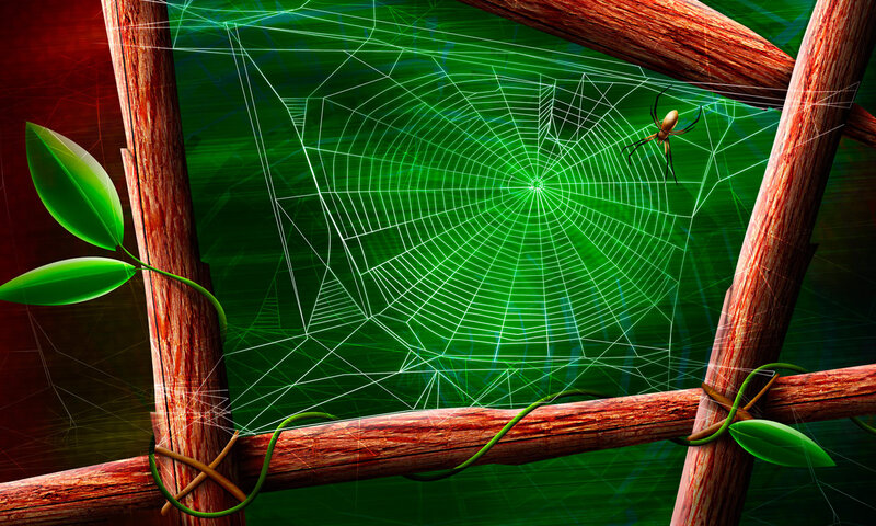 Spider on Web — Green, Dramatic, Digital Art