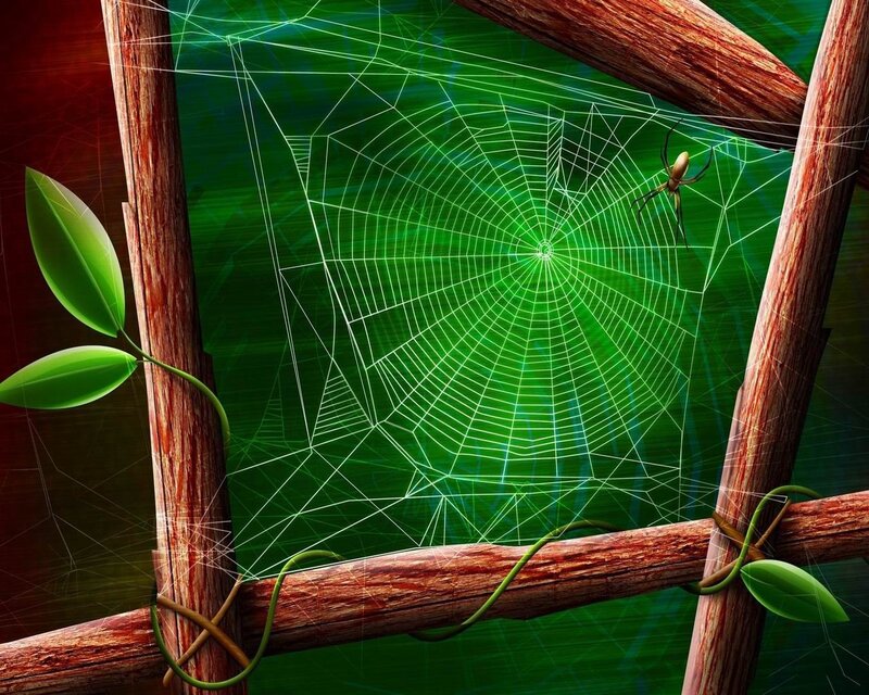 Spider on Web — Green, Dramatic, Digital Art, Wooden Frame