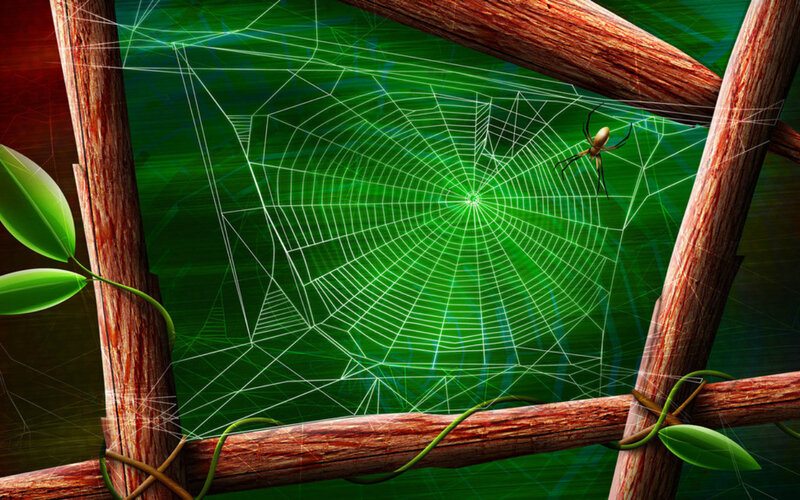 Spider on Web — Green, Natural, Digital Art