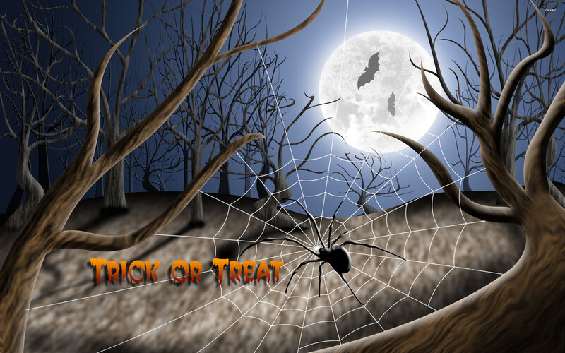 Spider on Web in Forest — Blue