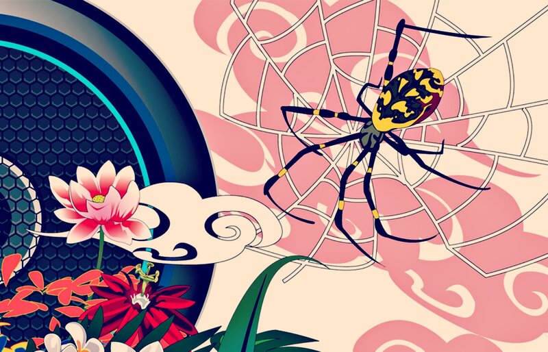 Spider on Web with Flowers