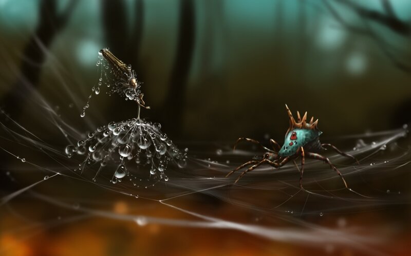 Spider on Web with Insect