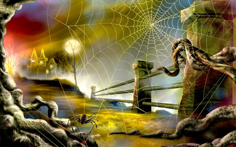 Spider on Web — Yellow, Creepy, Night