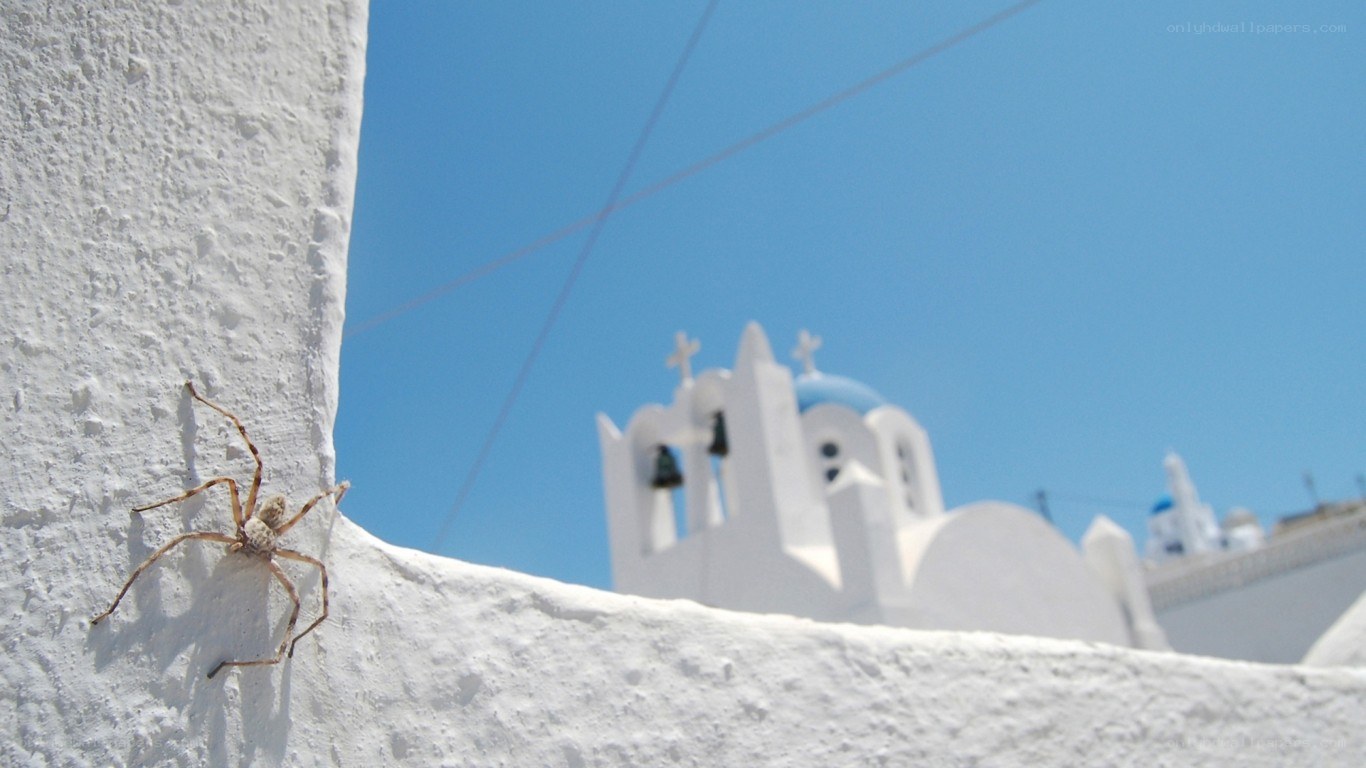 Spider on white wall in Greece