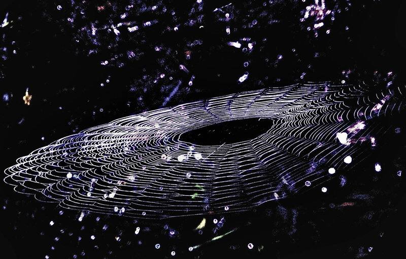 Spider Web at Night — Black, Mysterious