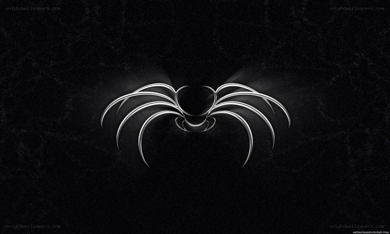 Spider Web Design Wallpaper
