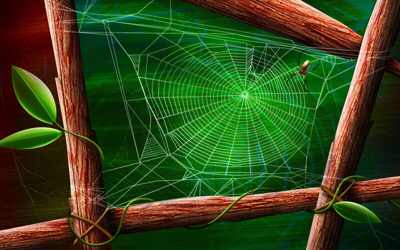 spider web in wooden frame