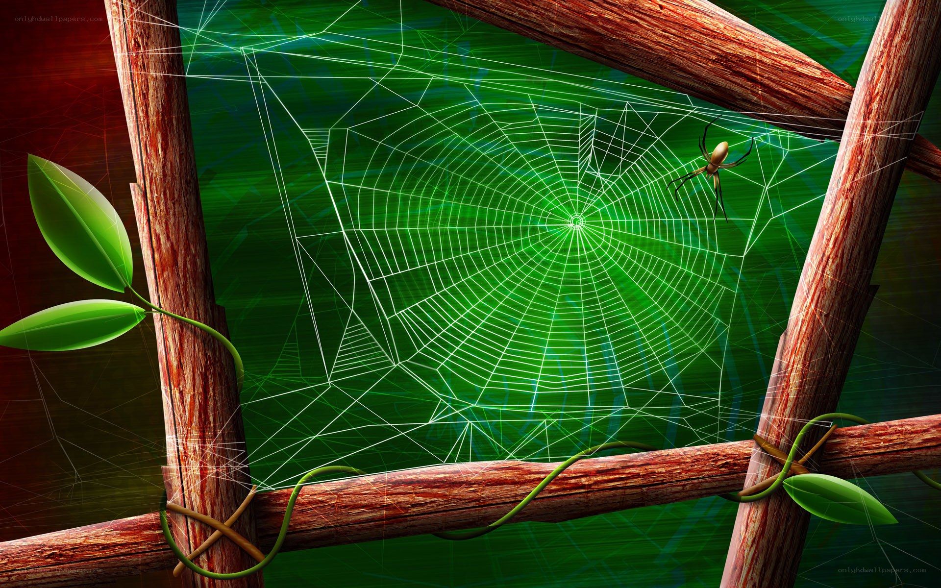 spider web in wooden frame