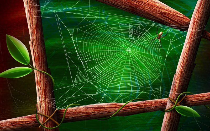 spider web in wooden frame