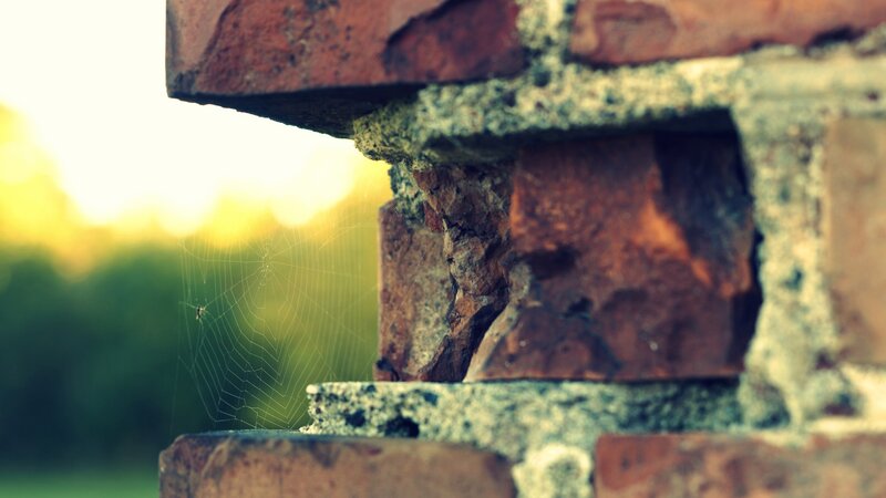 Spider Web on Brick Wall — Brown