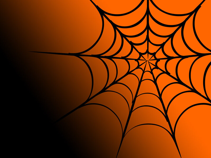 Spider Web on Orange